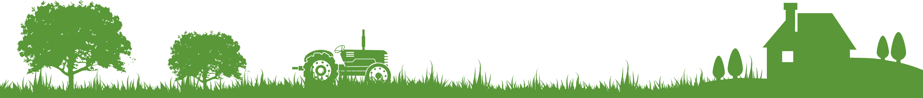 Desktop Image -bro